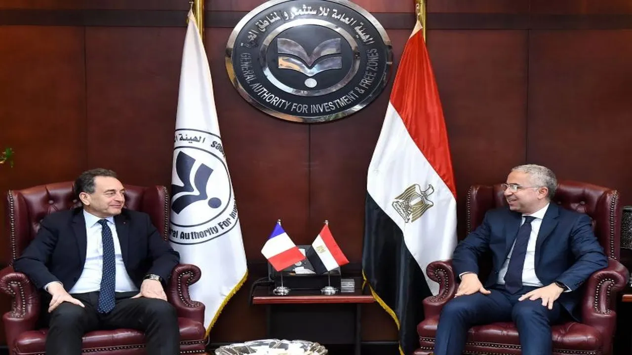 حجم استثمارات 200 شركة فرنسية في السوق المصري يتجاوز 8 مليارات دولار